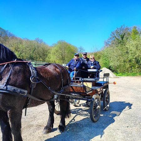 Eco-Gite La Chambre Du Vanneur Mentheville Luaran gambar