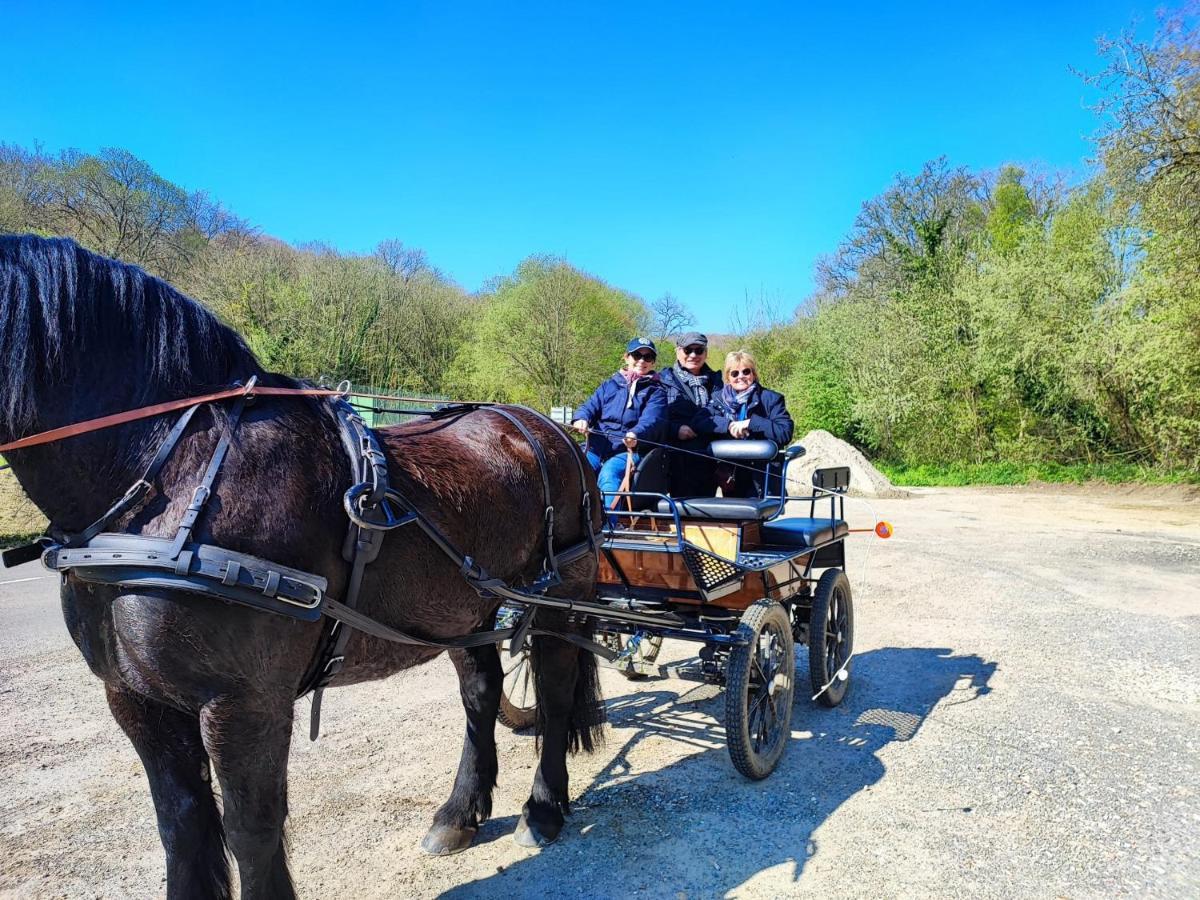 Eco-Gite La Chambre Du Vanneur Mentheville Luaran gambar
