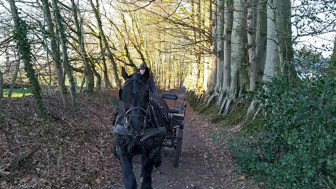 Eco-Gite La Chambre Du Vanneur Mentheville Luaran gambar